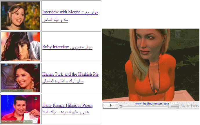 Google Adsense Video Ads